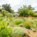 1759389436_Regenerativer-Garten