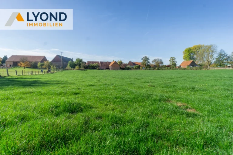 Historisches Bauernhaus mit Scheunen, Stallungen und Weidefläche in Diemelstadt Dehausen!